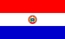 Nationale vlag, Paraguay