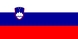 Nationale vlag, Slovenië