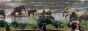 Buhala Game Lodge
