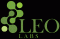 Leo Labs